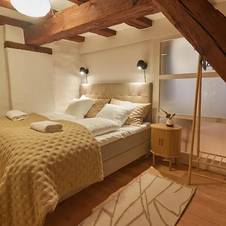 Warm 3br Loft With Exposed Beams * Copenaghen