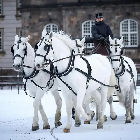 Warm 3br Loft With Exposed Beams Apartment *